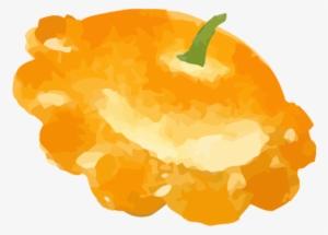 Lemon Squash - Illustration