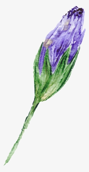 Purple Flower Transparent Decorative - Cluster-lilies
