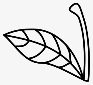Apple Stem Leaf Clip Art - Apple Stem And Leaf