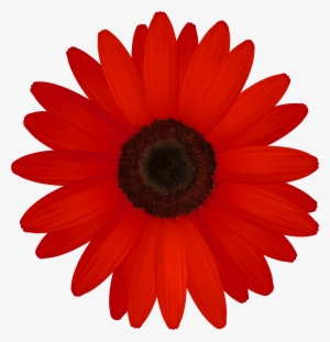Red Gerber Png Clipart - Red Flower Clip Art