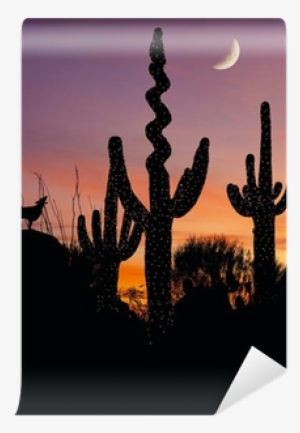 Silhouette Of A Coyote Howling At A Decorated Saguaro - Desert