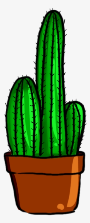 Cactus Vector Plant - กระบองเพชร Png