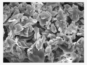 Scanning Electron Microscopy Of Banana Peel With Magnifications - Monochrome