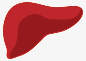 Open - Liver Png