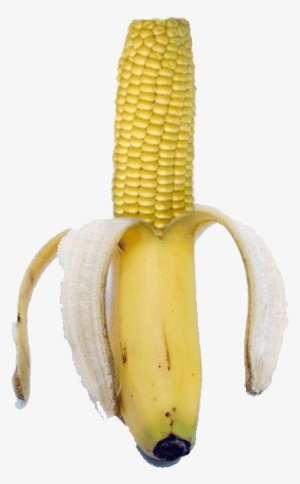 Gmo Luau-rave Ii Friday Oct 28 - Banana And Corn