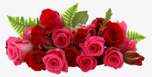 Rose Png - Rose Flowers