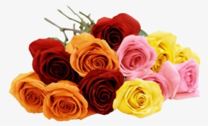 Blooming 12 Long Stemmed Assorted Rose Bouquet - Assorted Roses Png