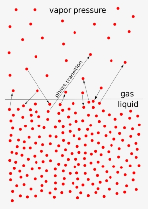 Vapour Pressure And Cavitation