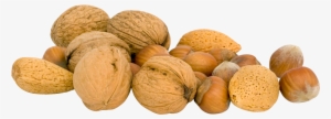 Fruits And Nuts Png