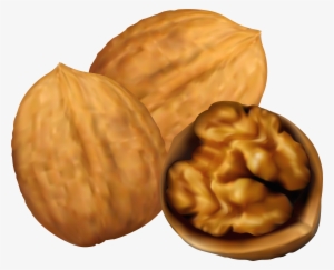 Cliparts No Nuts - Walnut Clipart