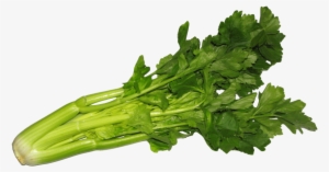 Free Png Celery Png Images Transparent - Celery Png
