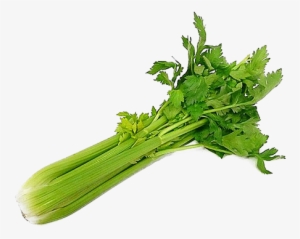 Celery Png Image - Celery Leaves In Tamil