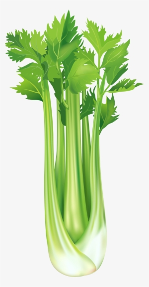 Green Onion And Celery