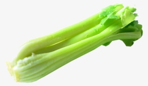 Celery Png Transparent - Celery Transparent