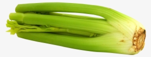 Celery Png Image - Celery