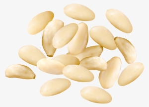 Pine Nuts Png