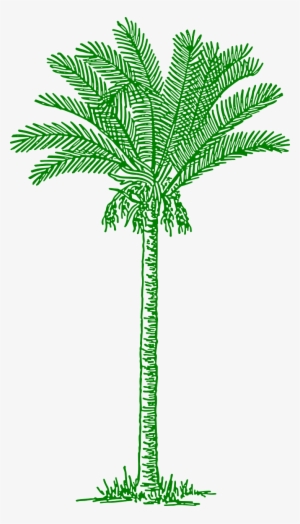 This Free Clipart Png Design Of Palm Tree