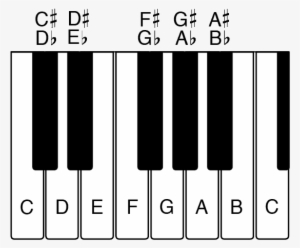 A Picture Of A Piano Keyboard Showing All The Names - Chord