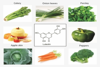 Vegetables And Fruits Such As Celery, Parsley, Broccoli - Luteolin