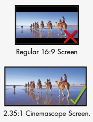 Out On True Wide Screen Cinema Experience Or Put Up - Projector 16 9 Screen Vs Cinemascope
