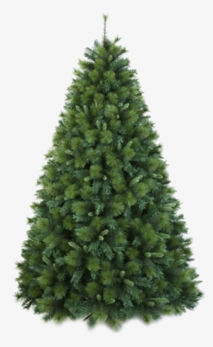 Arboles Navidad Png08 - Christmas Tree Lite Up Transparent