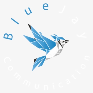 Find Out About Blue Jay Communication's First Project - Illustration