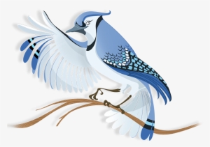 Flock Blue Jay - Blue Jay Bird Illustration Png
