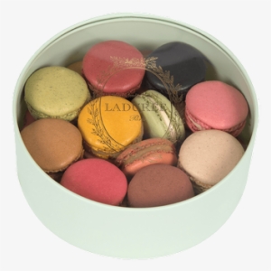 Elegant See Through Round Box Which Let Show Our Macarons - Macaron