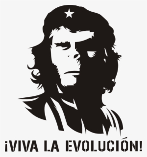 Viva La Evolucion Transparent PNG - 558x598 - Free Download on NicePNG