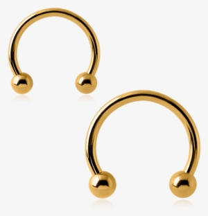 Gold Plated Horse Shoe - Earrings