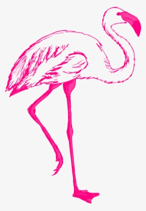 Drawing Flamingos - Flamingo Transparent Background Clip Art