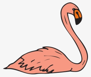Wings X Dumielauxepices Net - Flamingo Swimming Clipart