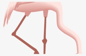 Free Flamingo Clipart - Flamingo #11 Quadratisches Silberfarbenes Ornament