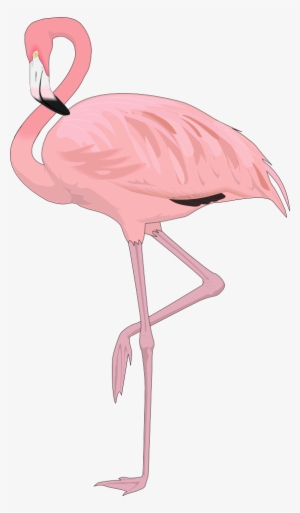Free Flamingo Clip Art Flamingo4