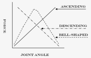 Ascending, Descending, And Bell-curve Are The Three - Bench Press Strength Curve
