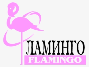 Μη Διαθέσιμο - Flamingo