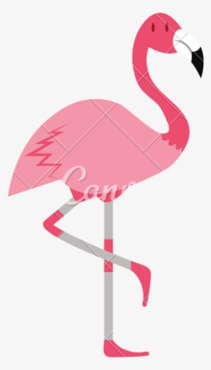 Cartoon Flamingo - Cartoon Flamingo Transparent Background