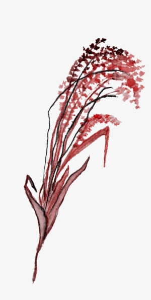 Black Red Flower Branch Transparent Decorative