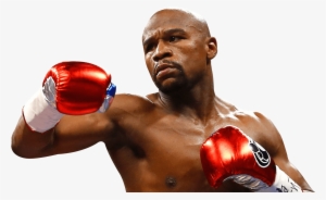 Boxer Drawing Boxing Man - Floyd Mayweather White Background