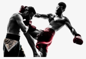 Mixed Martial Arts Fight Png Free Download - Kick Boxing