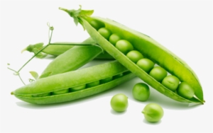Fresh Organic Green Peas - Rabi Crops