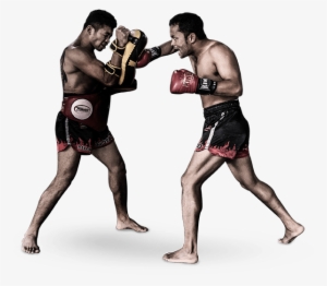 The World Class Boxing Program At Evolve Mma Is Led - Thai Boxing