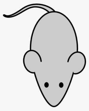 Mickey Mouse Easy Drawing At Getdrawings - Mouse Drawing Png