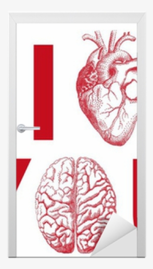 I Heart You, With Realistic Heart And Brain, Vector - C3rv34u [book]