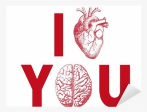 I Heart You, With Realistic Heart And Brain, Vector - Heart Illustration