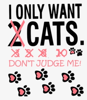 Only Want 2 Cat Don T Judge Me