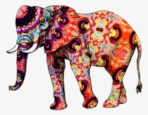 Asian Elephant Clipart Land Animal - Colorful Elephant Throw Blanket