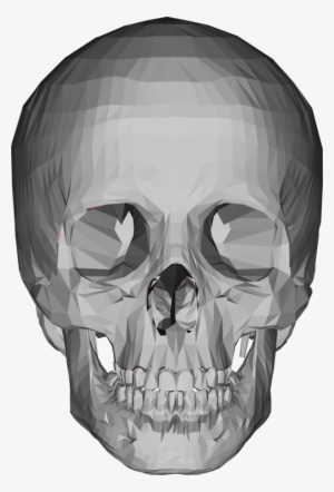 Nose Skull 3d Computer Graphics Head Low Poly - 3d Model Skull Png