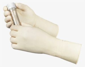 Latex Gloves - White - Powder Free - Medical Glove