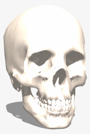 The 3d Skull From Archive3d - 3d Printing